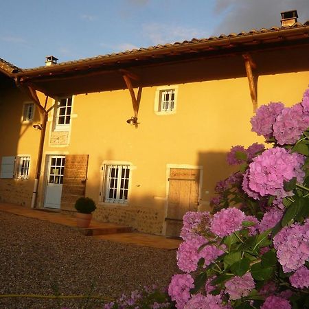 Bed & Breakfast - Maison De Marie Messimy-sur-Saone Kültér fotó