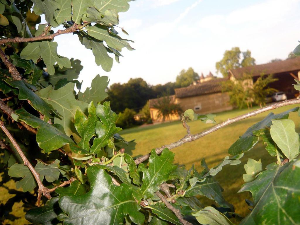 Bed & Breakfast - Maison De Marie Hotel Messimy-sur-Saone Kültér fotó