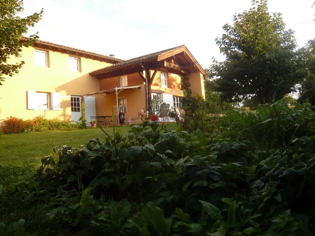 Bed & Breakfast - Maison De Marie Hotel Messimy-sur-Saone Kültér fotó