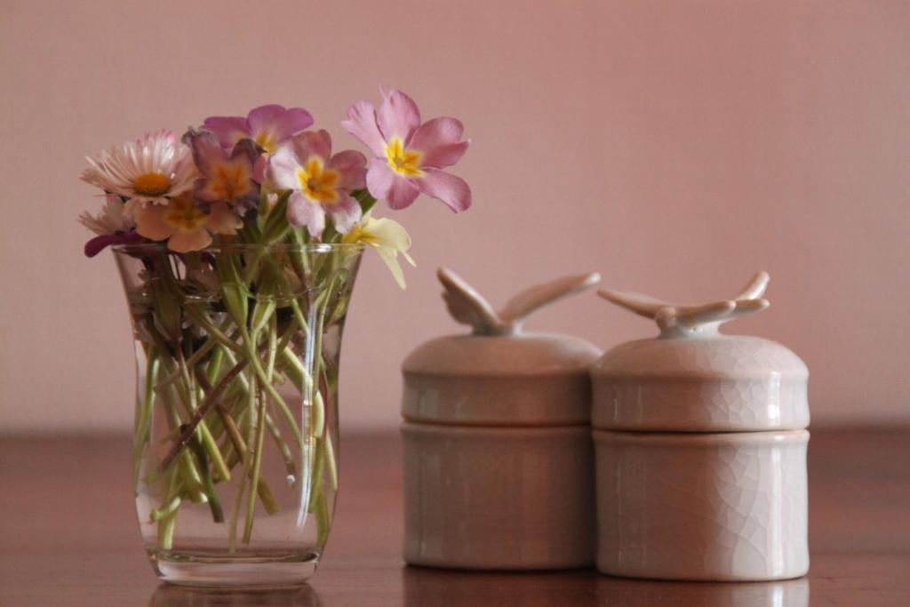 Bed & Breakfast - Maison De Marie Messimy-sur-Saone Szoba fotó